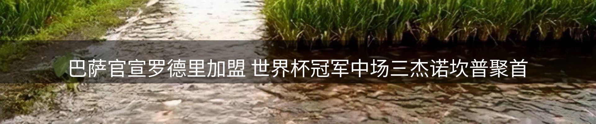 最新资讯