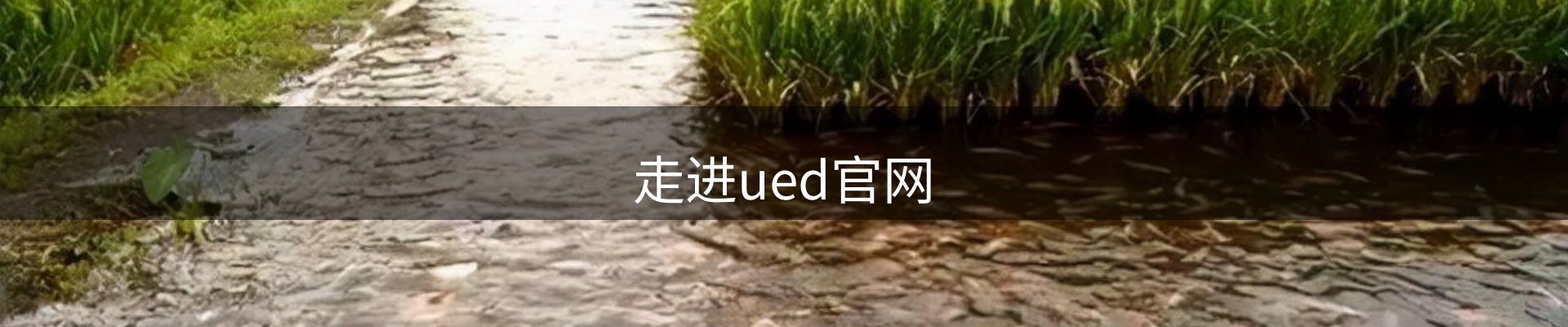 走进ued官网