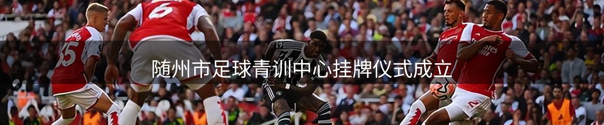 最新资讯