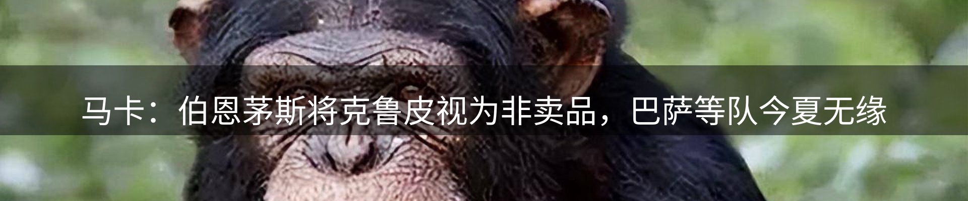 最新资讯