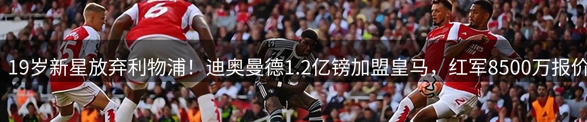 最新资讯